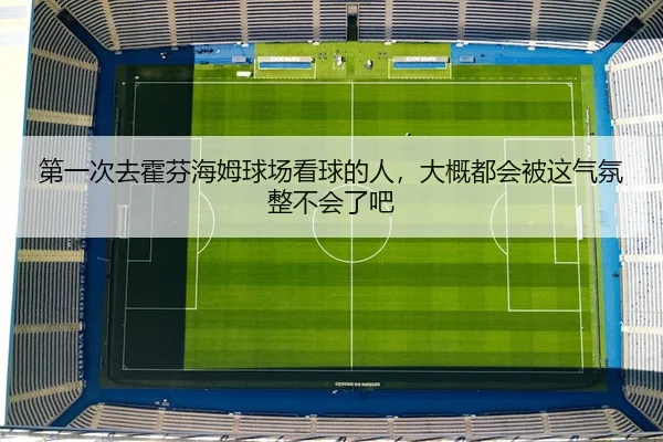 第一次去霍芬海姆球场看球的人，大概都会被这气氛整不会了吧