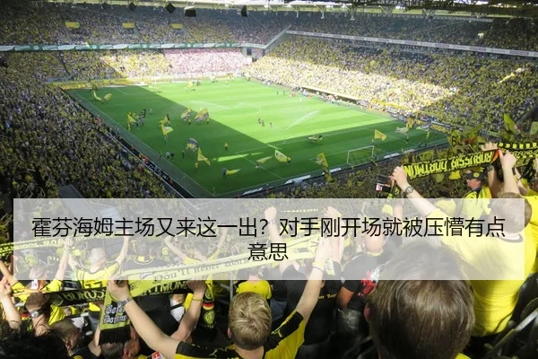 霍芬海姆主场又来这一出？对手刚开场就被压懵有点意思