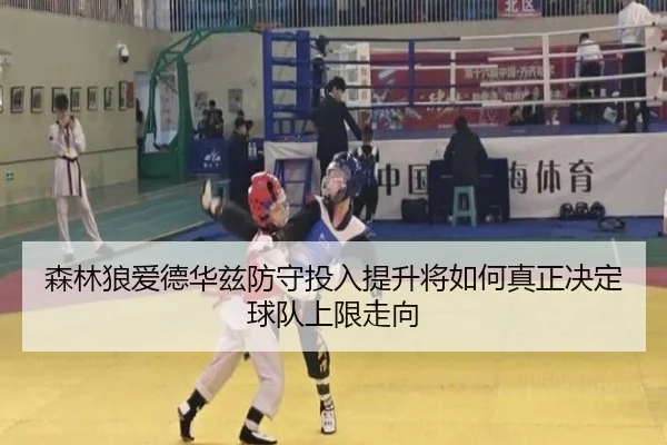 森林狼爱德华兹防守投入提升将如何真正决定球队上限走向